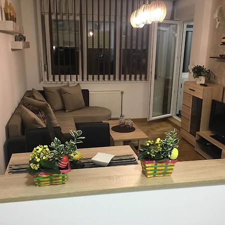 Apartment Sinisa With Garage Novi Sad Eksteriør bilde